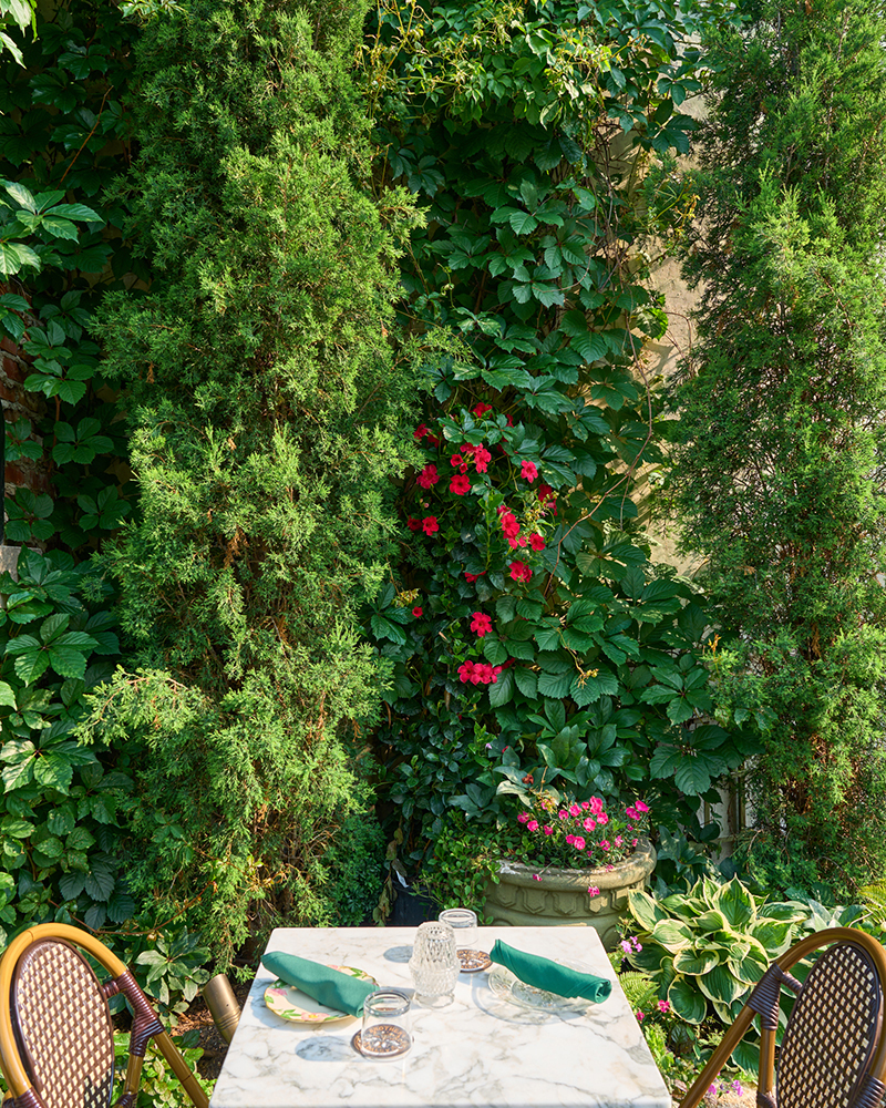 Lush greenery surrounding a cozy table.